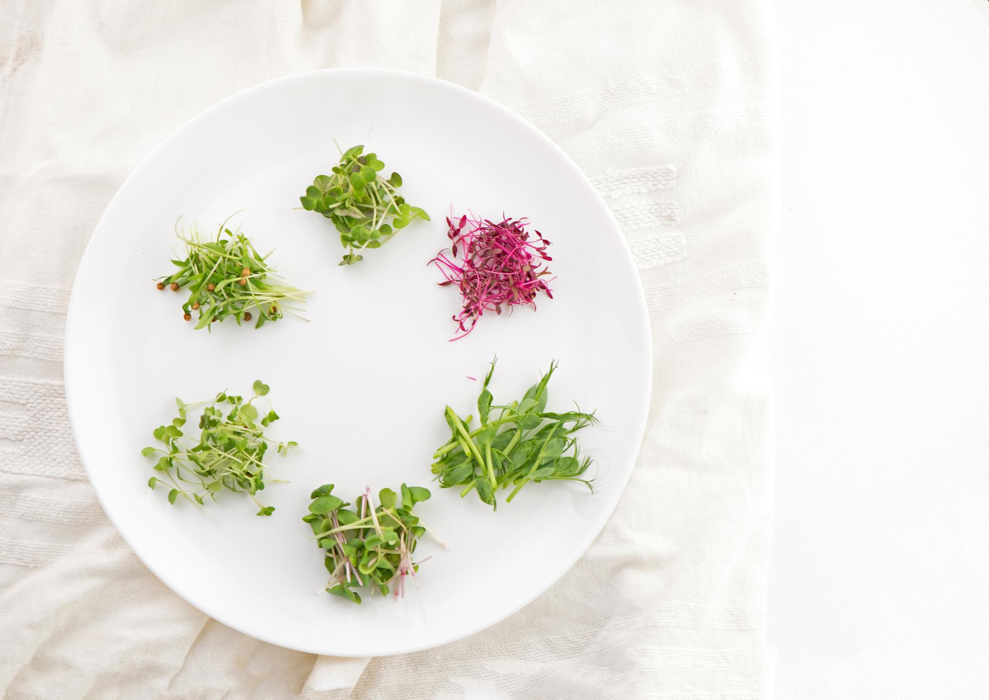 Large: plated seasonal salad with microgreens